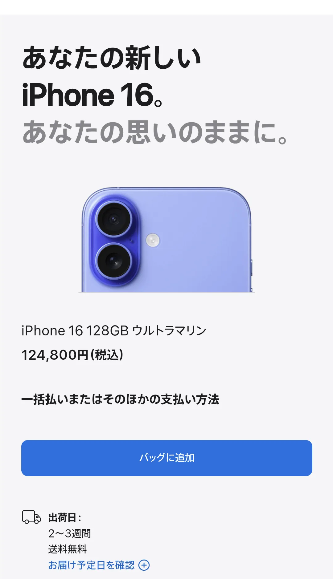 バッグに追加