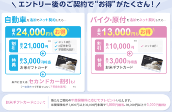 チューリッヒキャンペーン