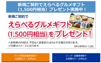 チューリッヒキャンペーン