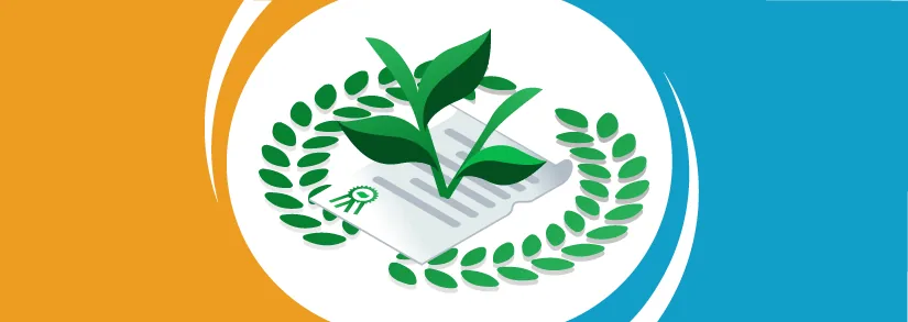 The Certificates of \"Green\" Energy