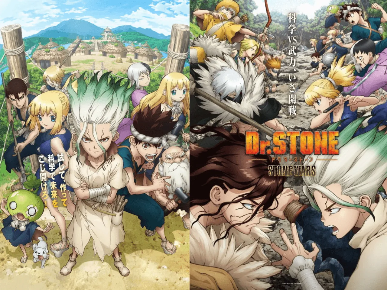Dr.STONEの過去シーズンはどこで見れる?