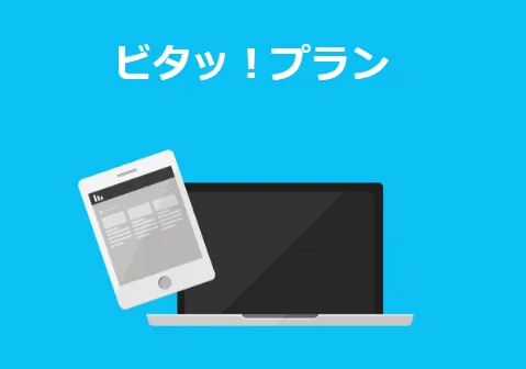 ビタッ!プラン
