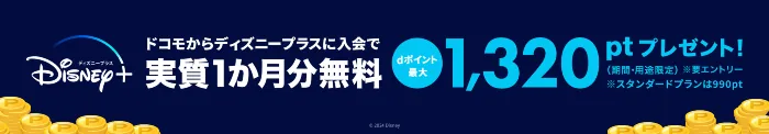 「Hulu | Disney+ セットプラン」