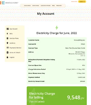 Electricity bill in English