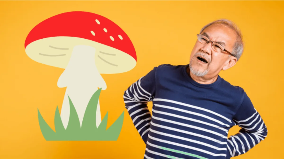 【dポイント還元率改悪】「親父、それ損してるよ」実家で気づいた電気代の罠。dカードユーザーが陥る無意味な「ポイ活」