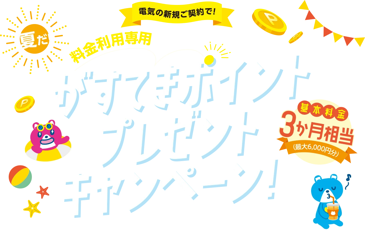 夏だ！料金利用専用がすてきポイントプレゼントキャンペーン！基本料金3か月相当（最大6,000円分）ポイント進呈