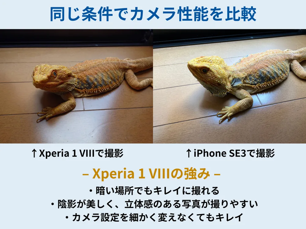 Xperia 1 VIIIとiPhone SE3で同じ被写体を撮り比べた写真の比較